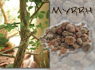 myrrh frankincense gold bring gifts why sins sacrifice purpose become ultimate man