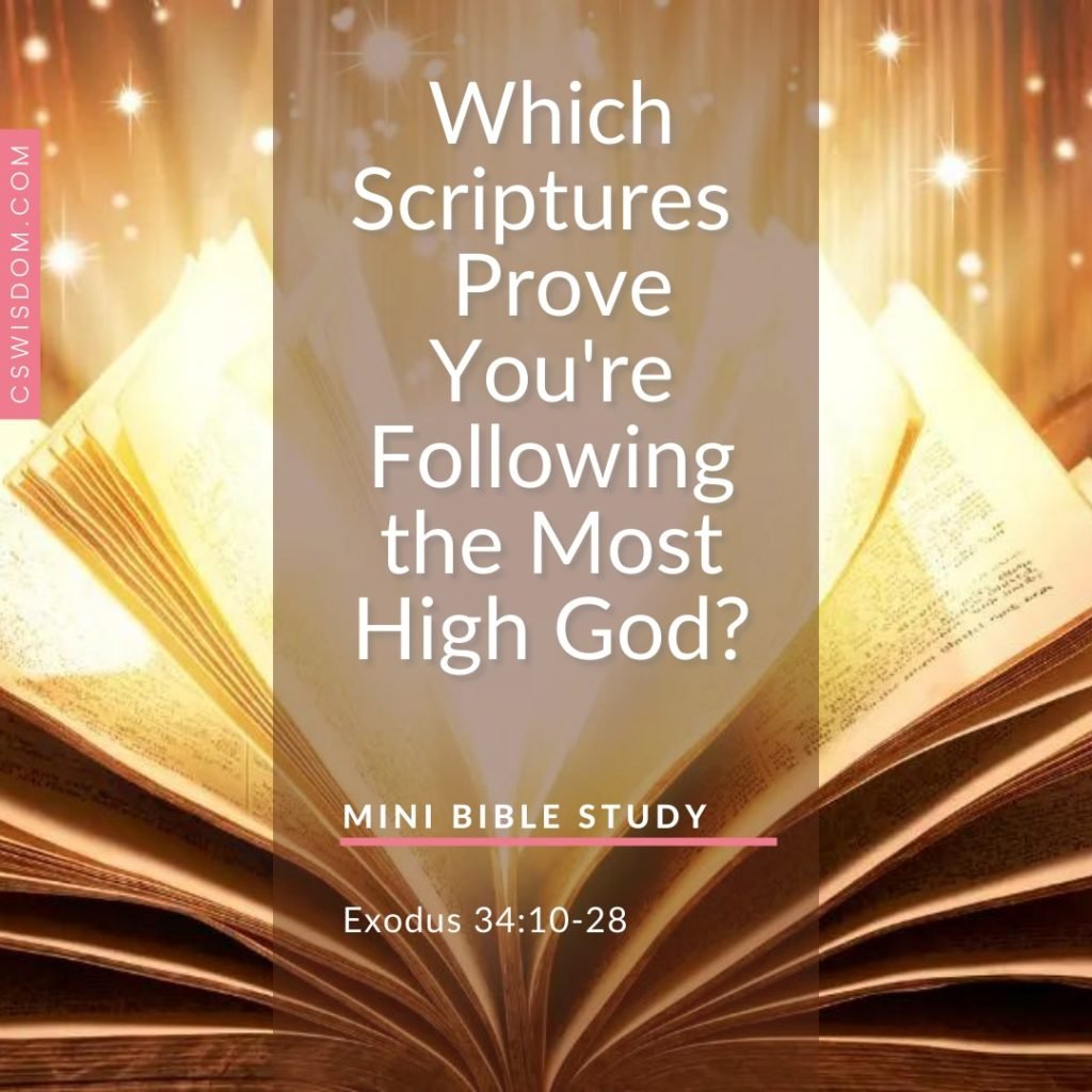 Which Scriptures in the Bible Can You Use to Prove You're Following the Most High God? 