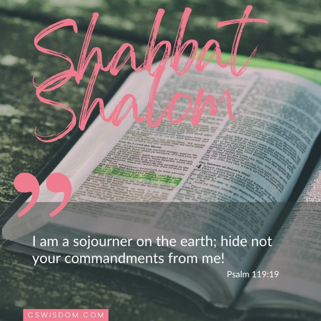 Shabbat Shalom – Hide Not Your Commandments From Me – Psalm 119:19