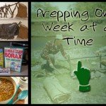 Prepping One Week at a Time
