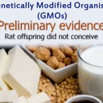 Genetically Modified Organisms (GMOs)
