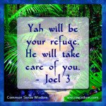 Joel 3: God will take care of you - www.cswisdom.com