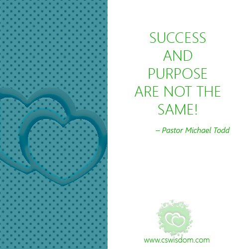 Success and Purpose are not the same! - www.cswisdom.com
