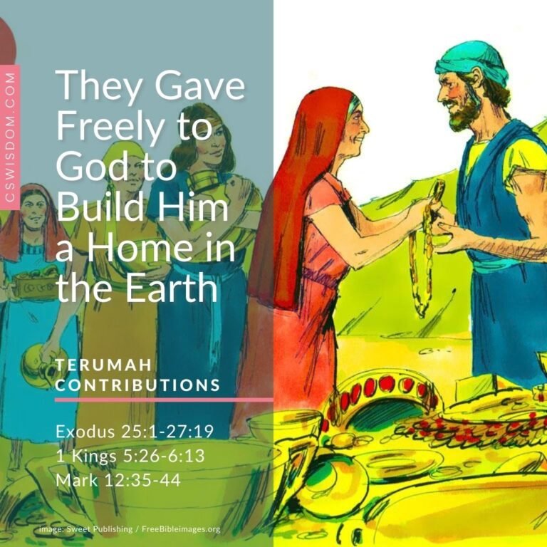 They Gave Freely to God to Build Him a Home in the Earth